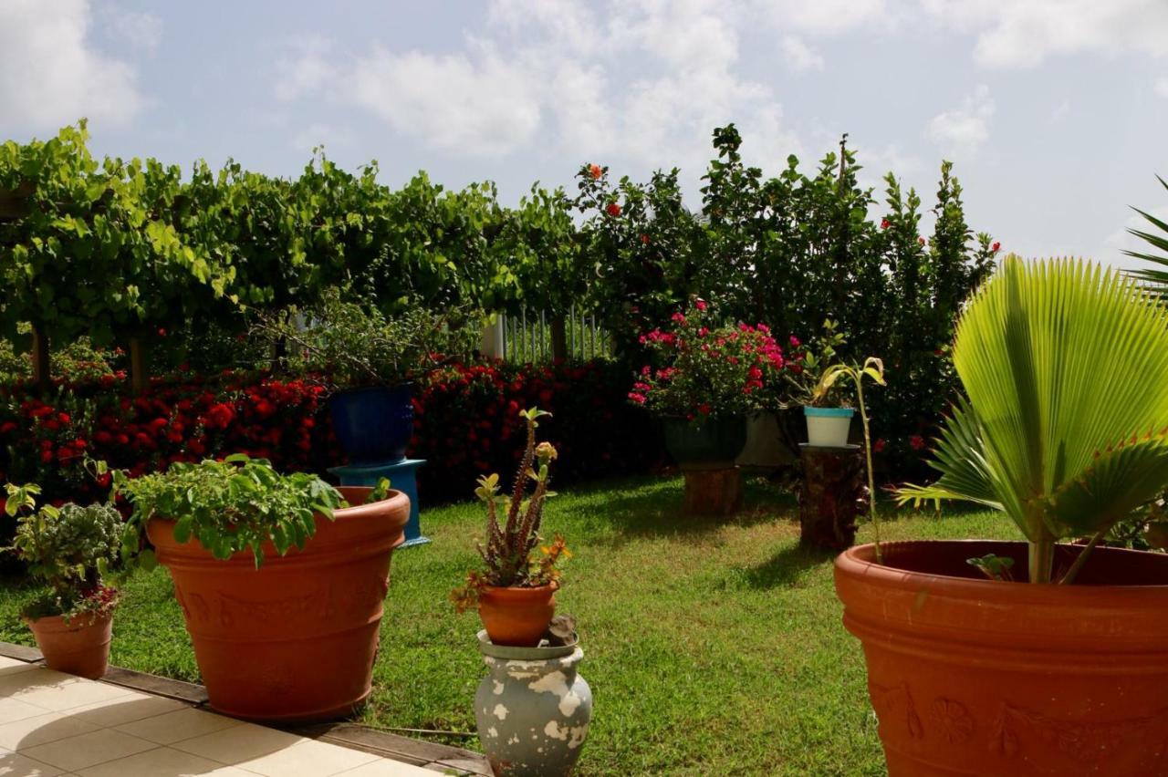 לה ווקלה Bed & Breakfast 6 Suites Piscine Et Plage Pointe Faula מראה חיצוני תמונה